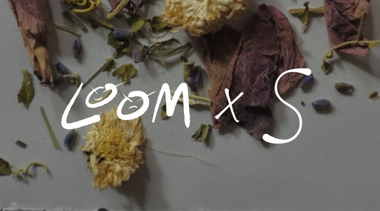 Blank Canvas: A conversations with Sophron Notes