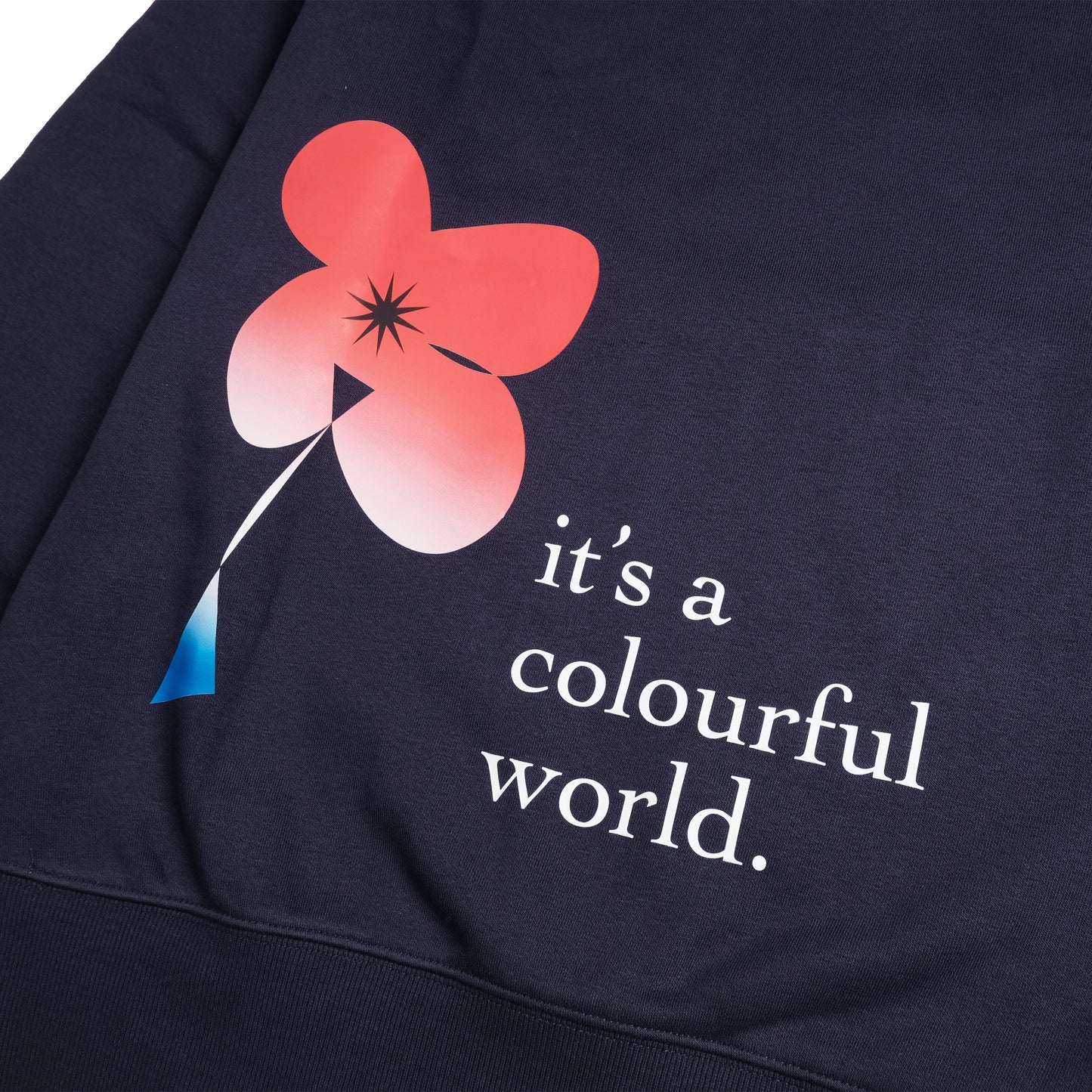Colourful world crewneck BACK design